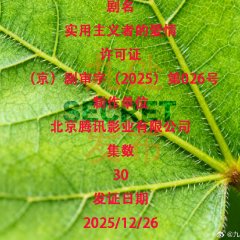 Love Story in the 1970s Chinese Drama photo