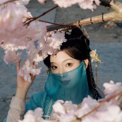 Echoes of the Self Chinese Drama photo