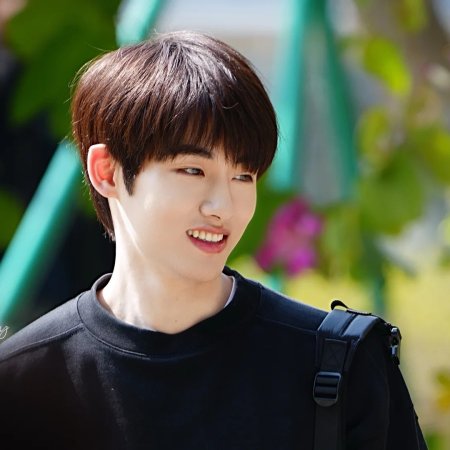 Sunshine through the Rain ()