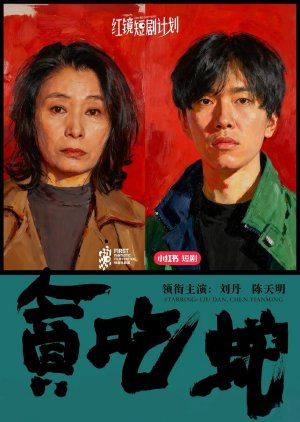 Here to Stay (0000) poster