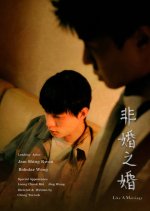 Like a Marriage Hong Kong Movie photo