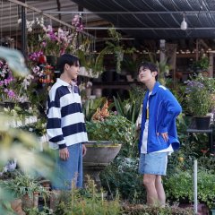 When Oranges Fall Thai Drama(0000) photo