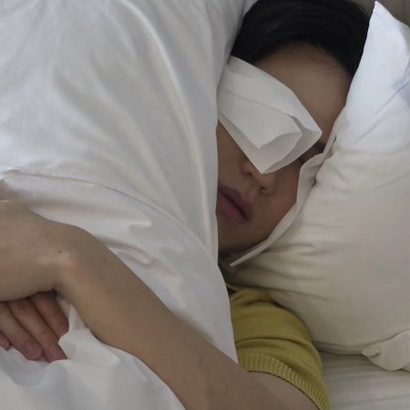 A Dog and a Plane ()