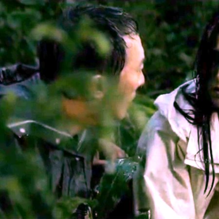 Cast-off Cicada Shell's Forest (2021)