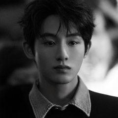 Blades of the Guardians Chinese Movie(2026) photo