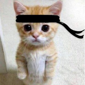 Haruki
