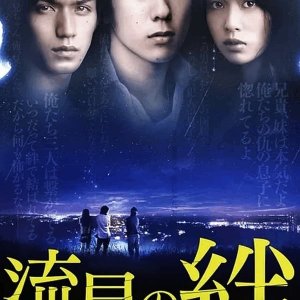 Ryusei no Kizuna (2008)