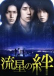 Ryusei no Kizuna japanese drama review