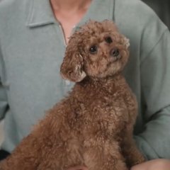 My Wife Got Fat Korean Movie photo