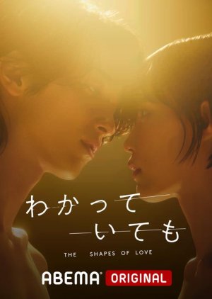 Wakatte Ite mo: The Shapes of Love (2024) poster