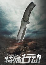 Special Fight Chinese Movie photo