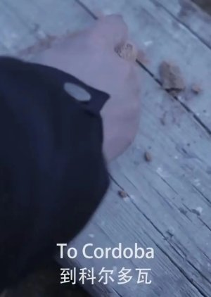 To Cordoba (2012) poster