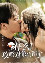 The Target of the Strategy Is Wrong Chinese Drama(2025) photo