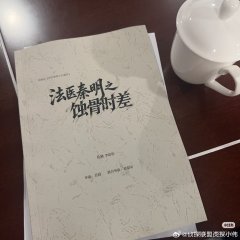 Fa Yi Qin Ming Zhi Shi Gu Shi Cha Chinese Drama(0000) photo