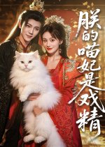 Zhen De Miao Fei Shi Xi Jing Chinese Drama(2025) photo