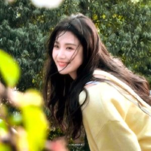 danywei 