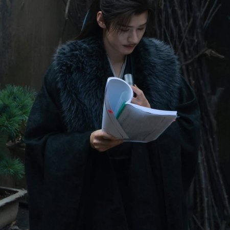 The Legend of Lu Xiaofeng ()
