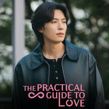 The Practical Guide to Love (2026)