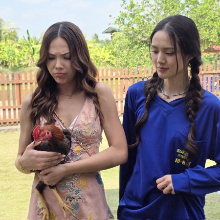 Hometown Romance (2026)