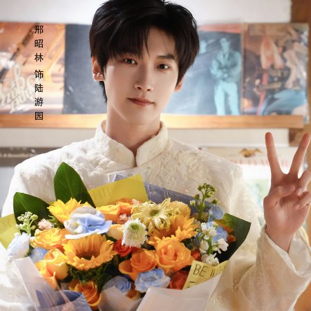 Accidental Comeback ()