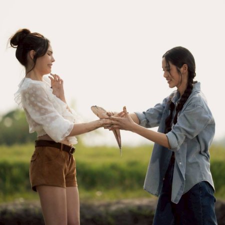 Hometown Romance (2026)