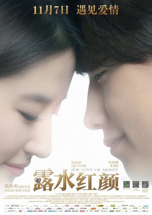 For Love or Money (2014) poster