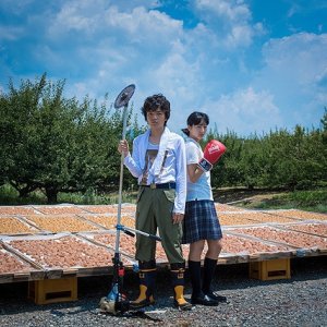 Kamisama no Boto  (2013)