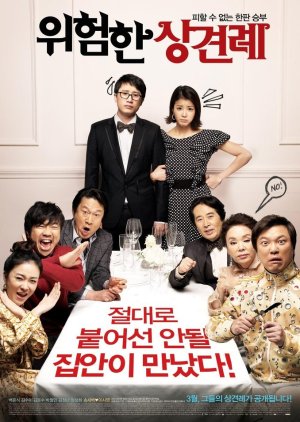 Meet the In-Laws (2011) poster