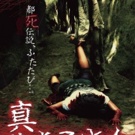 Kamisama no Boto  (2013)