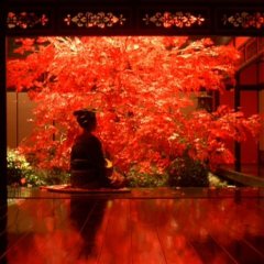 Sakuran Japanese Movie photo