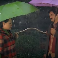 The Postmodern Life of My Aunt Chinese Movie photo