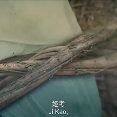 Zhao Ge Chinese Drama photo