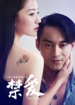 Forbidden Love chinese movie review