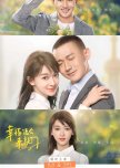 Knock on the Happiness Door chinese drama review