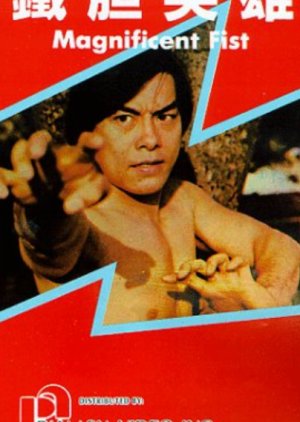 Magnificent Fist (1978) poster