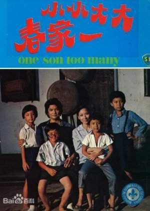 One Son Too Many (1980) poster