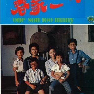 One Son Too Many (1980)