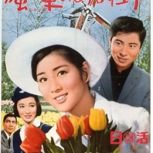 A Windmill, Tulips and Love (1966)