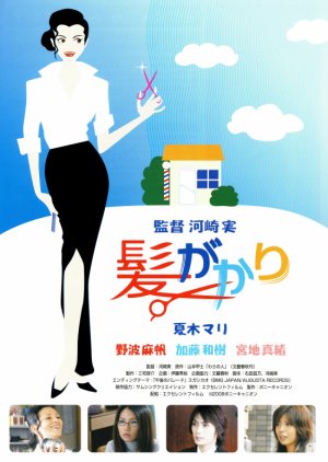 Hair Brush (2008) poster