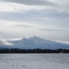 Shari Japanese Movie photo