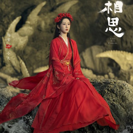 Lost You Forever (2023) - Photos - MyDramaList