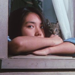 Play it, Boogie-Woogie Japanese Movie photo