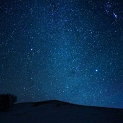 Fly Close to the Ground Chinese TV Program photo