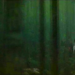 Twin Sisters of Kyoto Japanese Movie photo