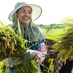 Wawa No Cidal Taiwanese Movie photo