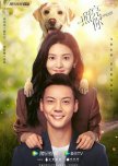 A Date with the Future chinese drama review