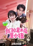 My Piggy Boss chinese drama review