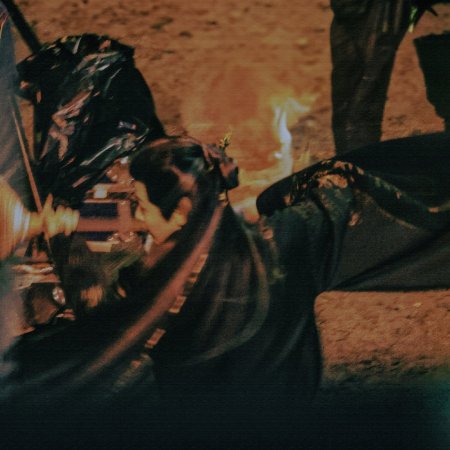Fangs of Fortune (2024)