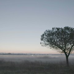 Ji Seok Korean Movie photo