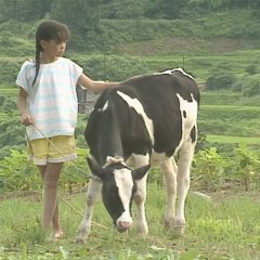 Yume wa Ushi no Oishasan Japanese Movie photo